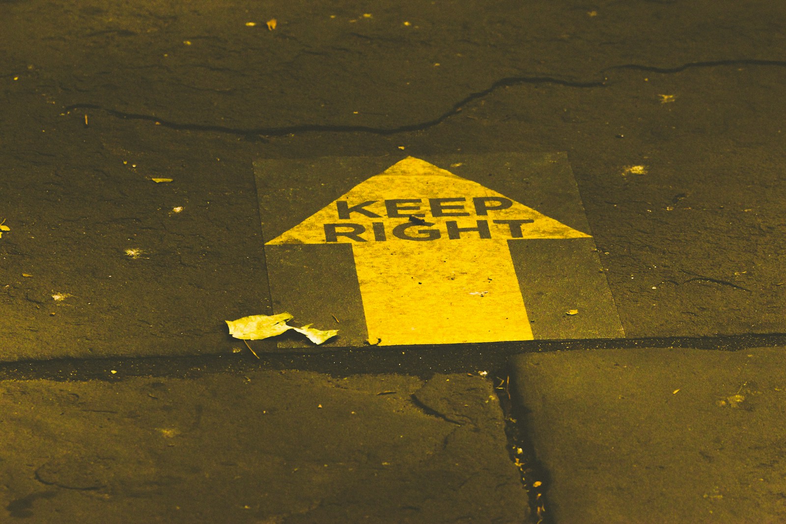 Sam Collins: Keep Right! A Conservative party tacking to the left is playing to the politics of the past